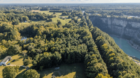 Terrain and landscape of 2 acre wooded land in Vance County North Carolina