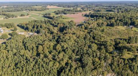 2 acre rural property in Vance County North Carolina - view 19