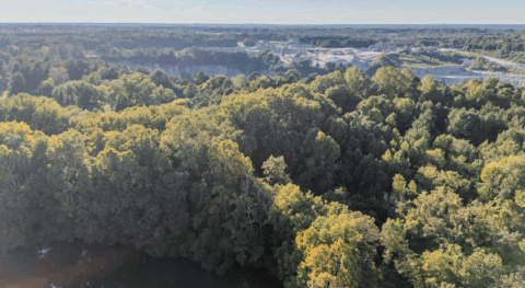 2 acre rural property in Vance County North Carolina - view 20