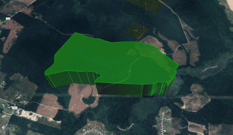 Terrain and landscape of 143.2 acre unrestricted wooded land in Onslow County North Carolina
