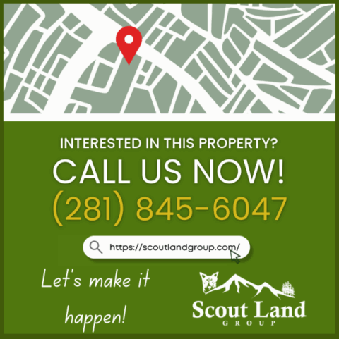 Unrestricted wooded land for sale - 143.2 acre lot in Onslow County North Carolina photo 6