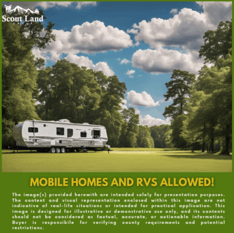 Unrestricted wooded land for sale - 143.2 acre lot in Onslow County North Carolina photo 5