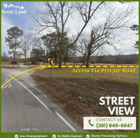 Unrestricted wooded land for sale - 143.2 acre lot in Onslow County North Carolina photo 4