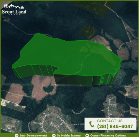 Land features on 143.2 acre property in Onslow County North Carolina - image 10 of 24