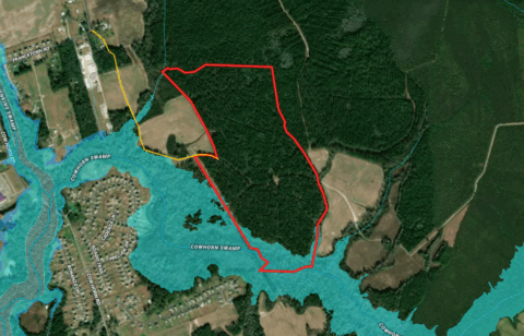 Terrain and landscape of 143.2 acre unrestricted wooded land in Onslow County North Carolina