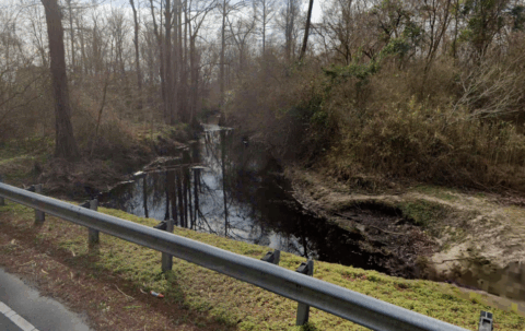 Land features on 143.2 acre property in Onslow County North Carolina - image 8 of 24