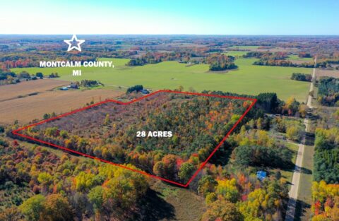 28 acre land for sale in Montcalm County Michigan - featured listing photo