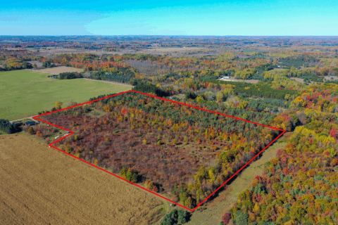 Property boundary view of 28 acre tract in Montcalm County Michigan