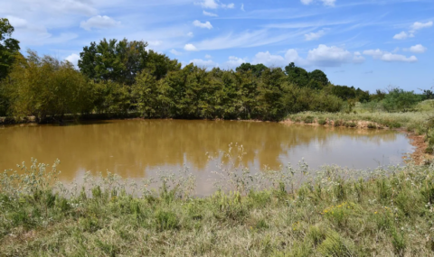 34.9 acre rural property in Freestone County Texas - view 18