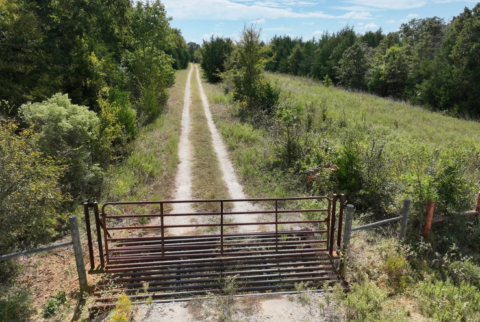 Terrain and landscape of 34.9 acre unrestricted cleared land in Freestone County Texas
