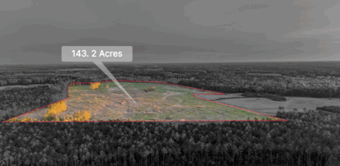 Terrain and landscape of 143.2 acre unrestricted wooded land in Onslow County North Carolina