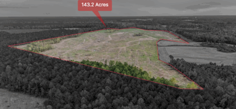 Terrain and landscape of 143.2 acre unrestricted wooded land in Onslow County North Carolina