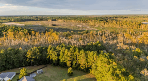 143.2 acre land for sale in Onslow County North Carolina - gallery photo 23 of 24