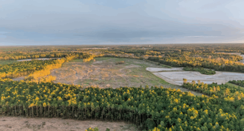 143.2 acre land for sale in Onslow County North Carolina - gallery photo 24 of 24