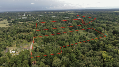 14 acre unrestricted wooded property for sale in Texas - aerial overview