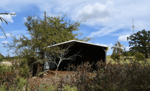 34.9 acre rural property in Freestone County Texas - view 19