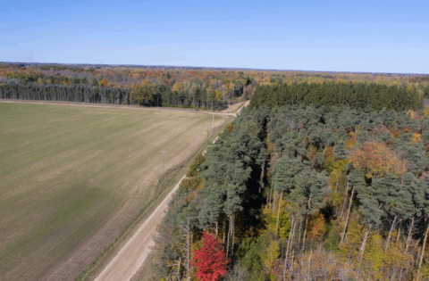 28 acre rural property in Montcalm County Michigan - view 16