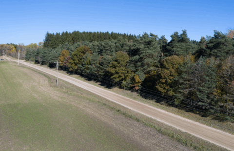 28 acre rural property in Montcalm County Michigan - view 19