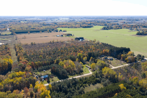 28 acre land for sale in Montcalm County Michigan - gallery photo 21 of 24