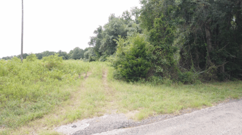 Property boundary view of 14 acre tract in Texas
