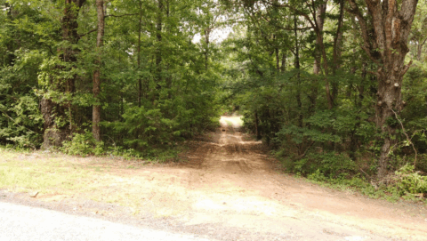 Unrestricted wooded land for sale - 14 acre lot in Texas photo 4