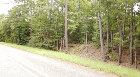 Unrestricted wooded land for sale - 14 acre lot in Texas photo 6