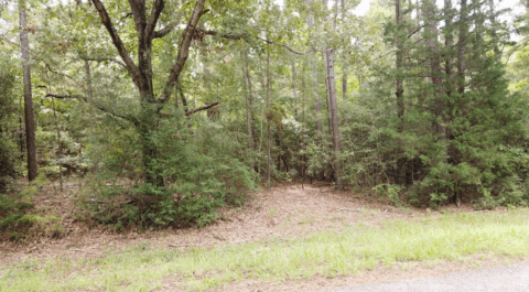 Land features on 14 acre property in Texas - image 7 of 16