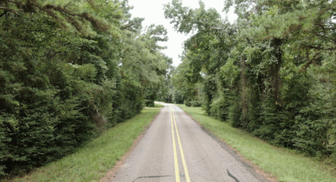 Land features on 14 acre property in Texas - image 9 of 16