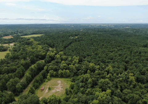 Land features on 14 acre property in Texas - image 10 of 16