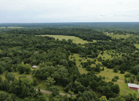 Terrain and landscape of 14 acre unrestricted wooded land in Texas