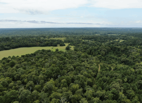 Terrain and landscape of 14 acre unrestricted wooded land in Texas