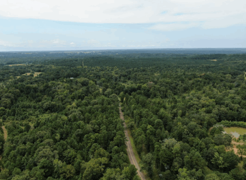 14 acre rural property in Texas - view 16