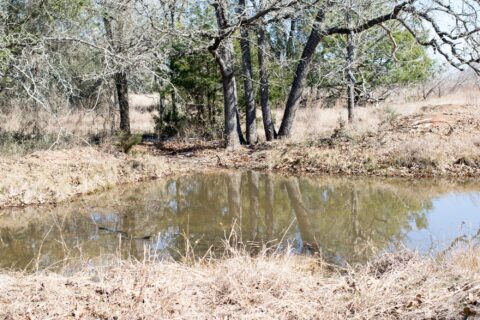 Unrestricted wooded land for sale - 6 acre lot in Milam County Texas photo 5