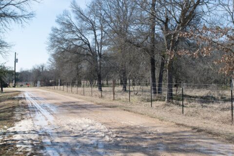 Land features on 6 acre property in Milam County Texas - image 7 of 26
