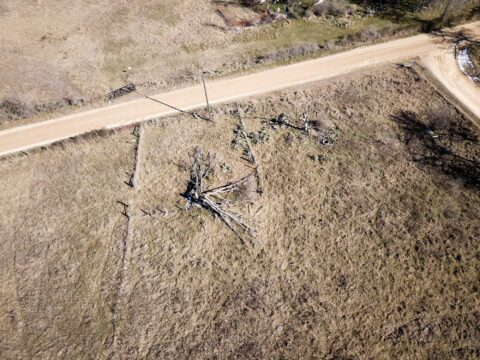 Terrain and landscape of 6 acre unrestricted wooded land in Milam County Texas