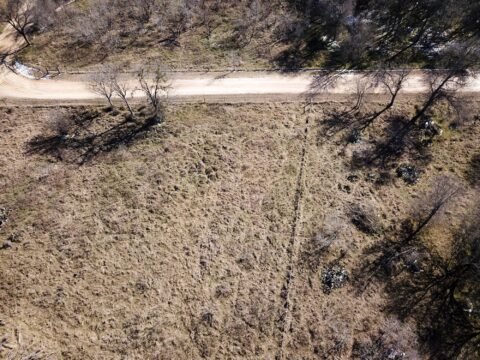 Terrain and landscape of 6 acre unrestricted wooded land in Milam County Texas