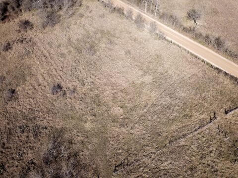 Terrain and landscape of 6 acre unrestricted wooded land in Milam County Texas