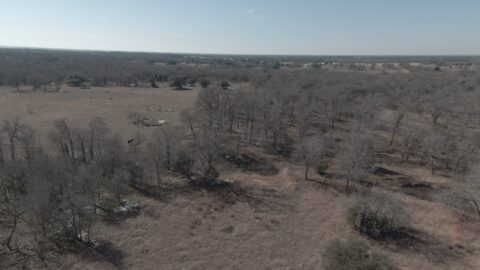 6 acre rural property in Milam County Texas - view 16