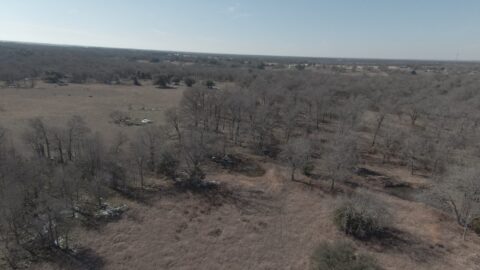 6 acre rural property in Milam County Texas - view 20