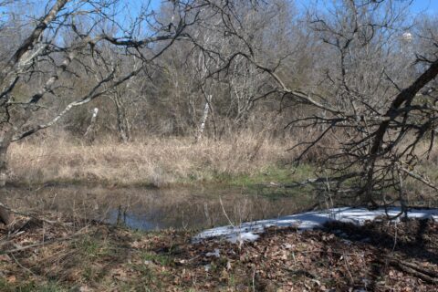 6 acre land for sale in Milam County Texas - gallery photo 23 of 26