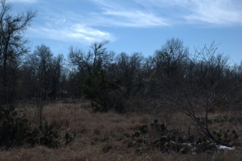 6 acre land for sale in Milam County Texas - gallery photo 26 of 26